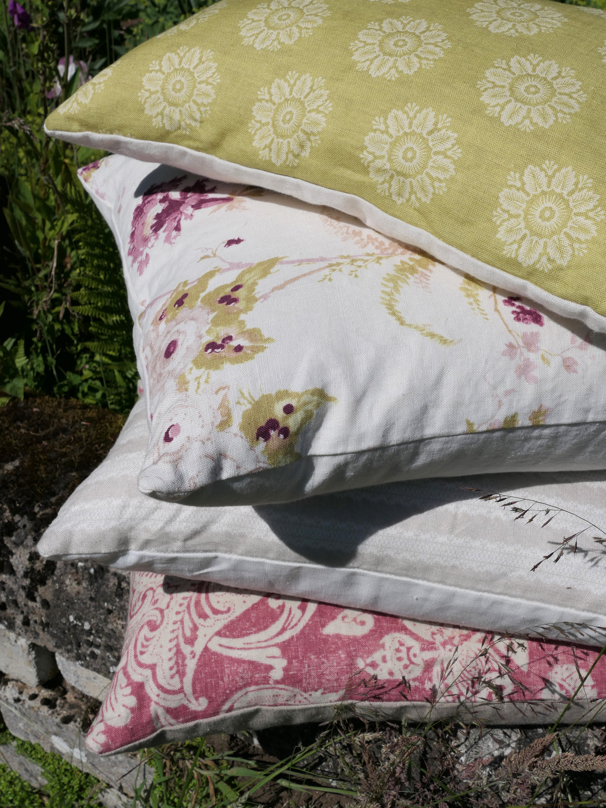 Dianthus Linen / Damson
