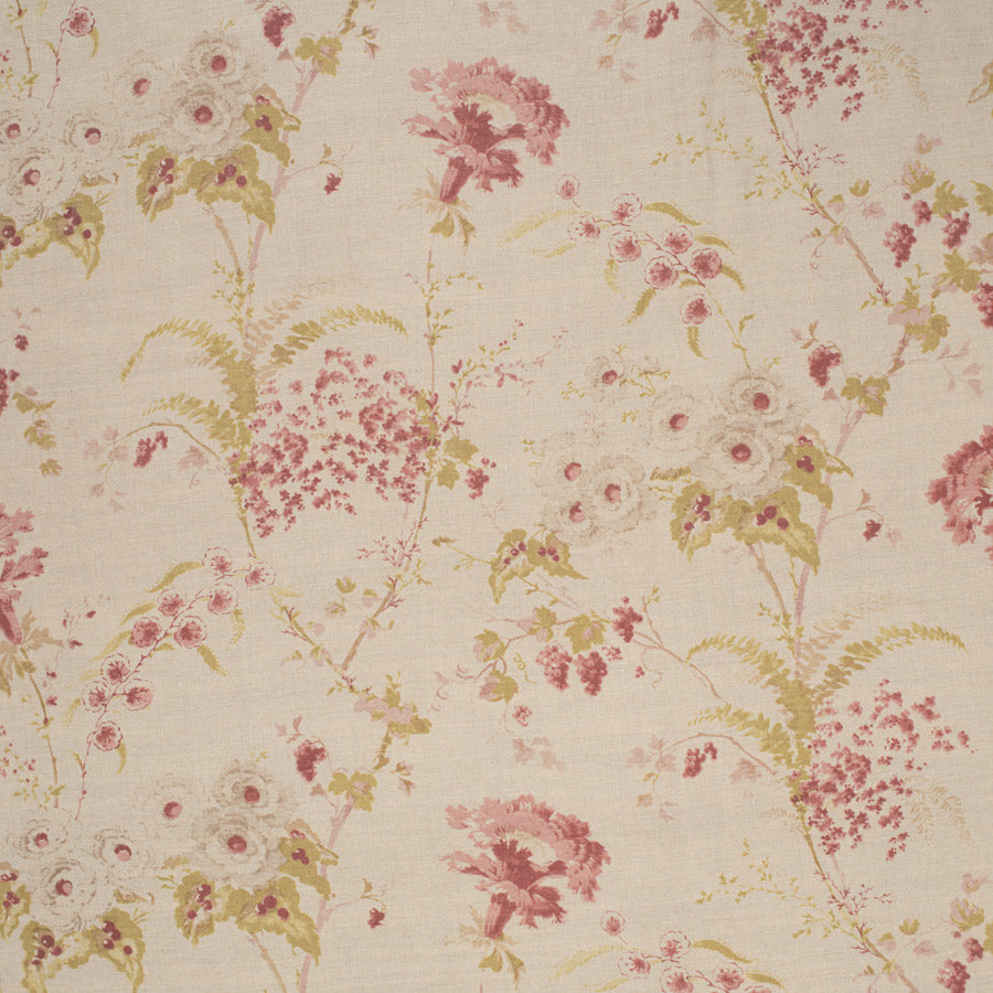 Dianthus Linen / Vintage Raspberry