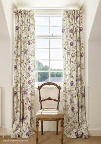 Dianthus Linen / Damson