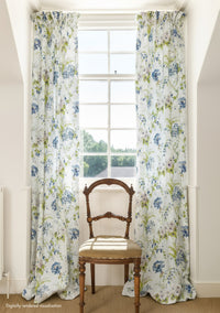 Dianthus Linen / Old Blue