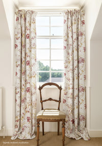 Dianthus Linen / Raspberry