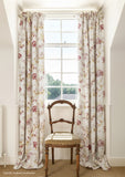 Dianthus Linen / Raspberry
