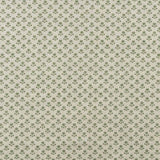 Daisy Linen / Fern Samples