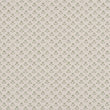 Daisy Wallpaper / Fern Samples