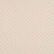 Daisy Wallpaper / Pink Samples