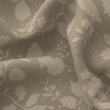 SALE: Speedwell Linen / Ecru | Batch No 31053S | 6m available
