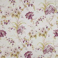Dianthus Linen / Damson
