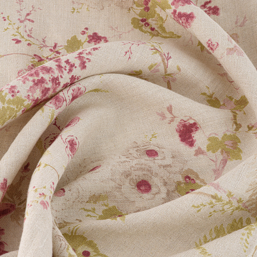 Dianthus Linen / Vintage Raspberry