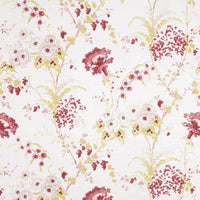 Dianthus Linen / Raspberry