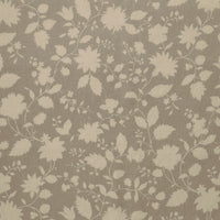 Speedwell Aged Linen / Ecru Samples